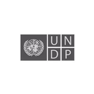 UNDP logo
