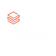 Databricks partner badge